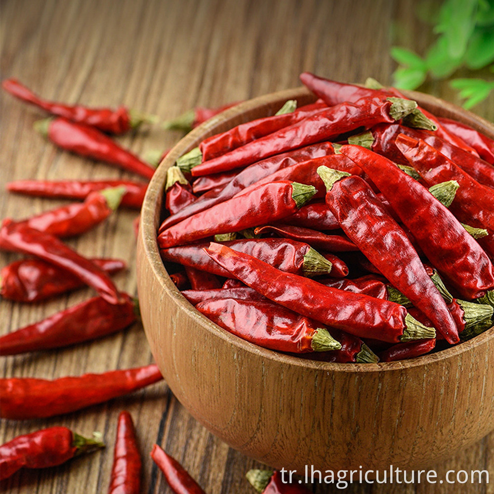 High Spicy Millet Pepper Spice